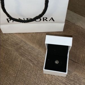 pandora charm